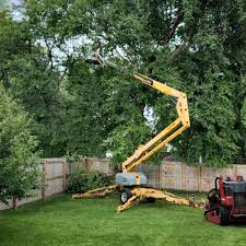 Best Arborist Consultation Services  in Greencastle, PA